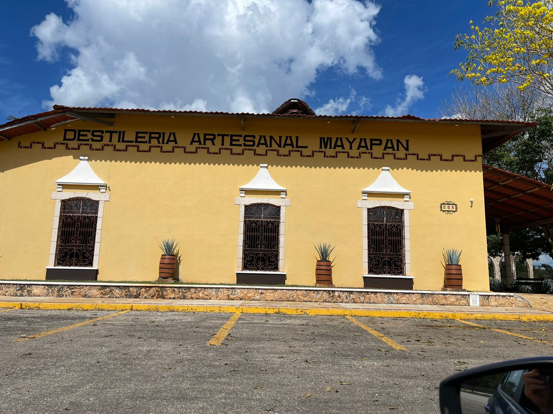 Mayapan Traditional Agave Distillery景点图片