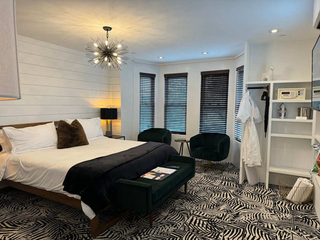 American Beech主图