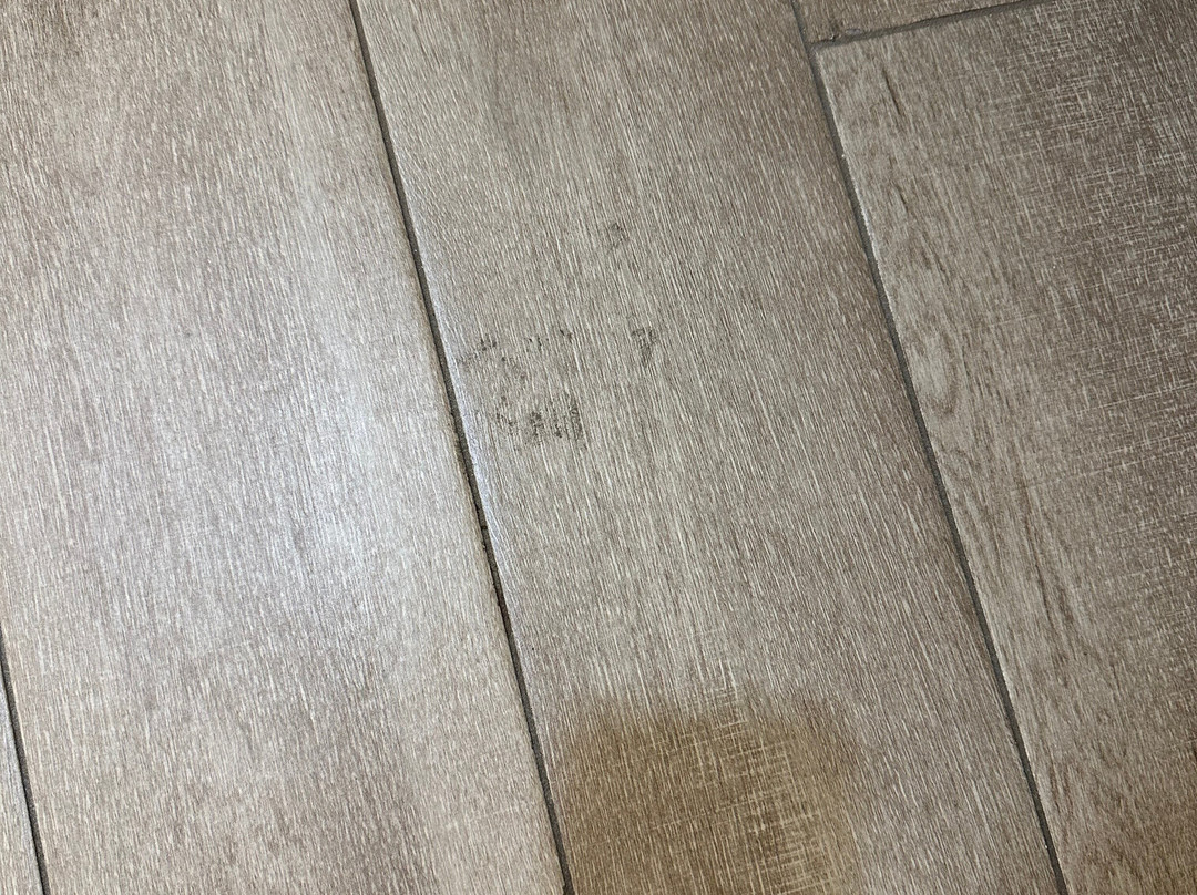 Hampton Inn & Suites Gainesville主图