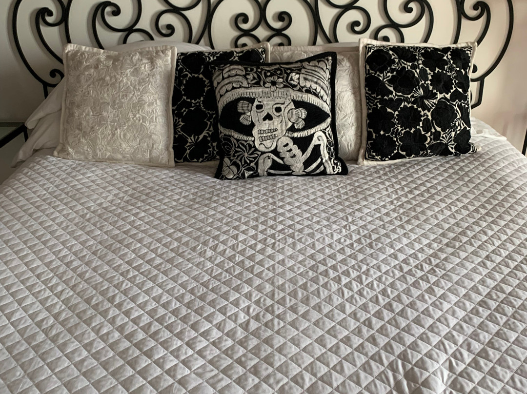 Hotel La Villa De Pozos主图