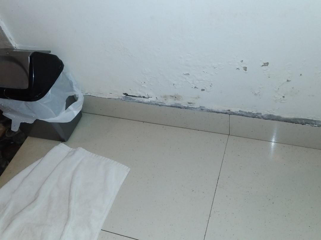 Paraiso Cottage主图