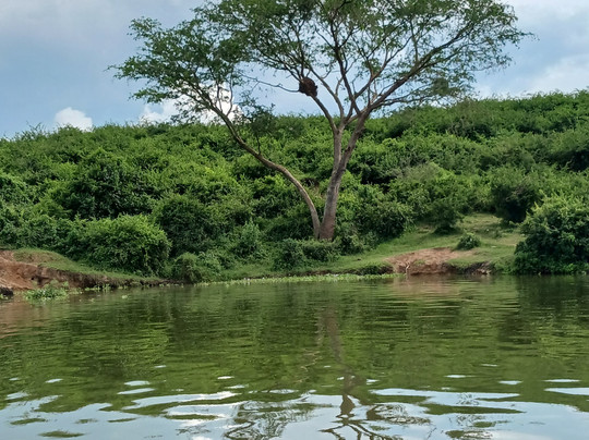 Bashem Safaris Tours and Travel-渥太华必去景点