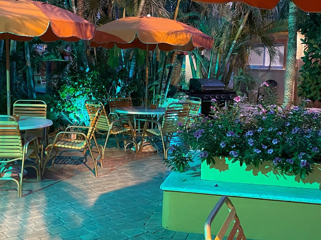 Sea Downs and the Bougainvillea主图