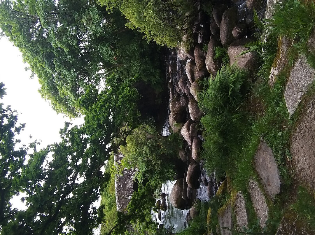 The Forest Inn主图