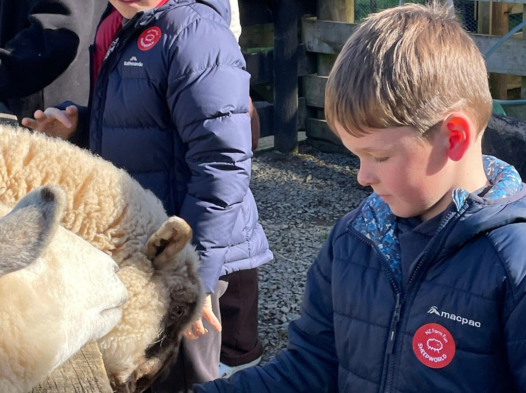 Sheepworld Farm Park-瓦卡沃夫必去景点