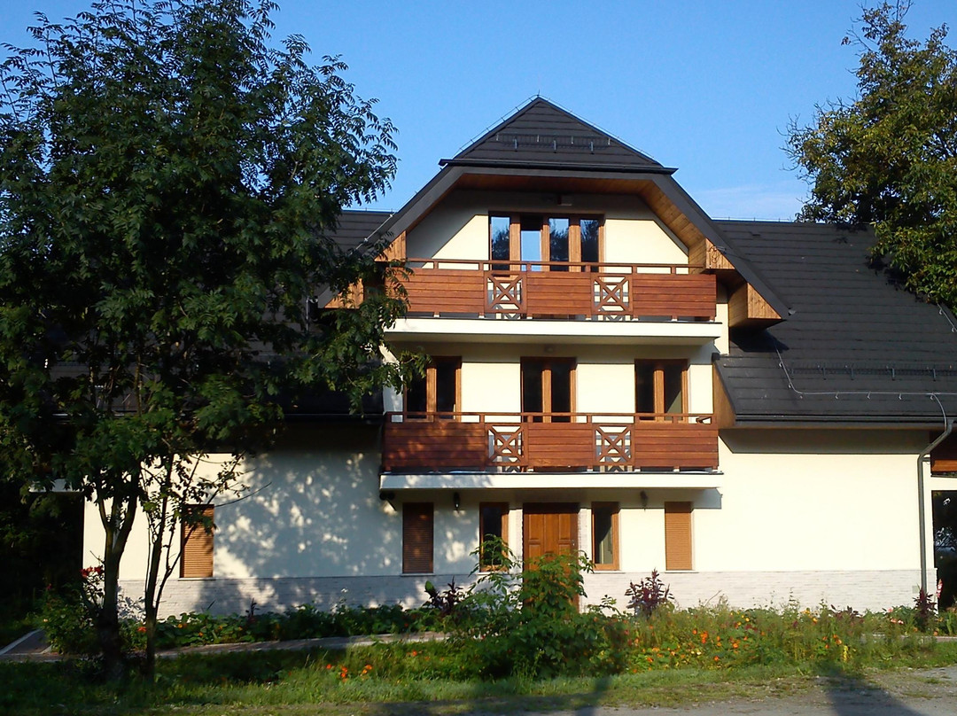 Skoczow酒店住宿-Willa Alicja