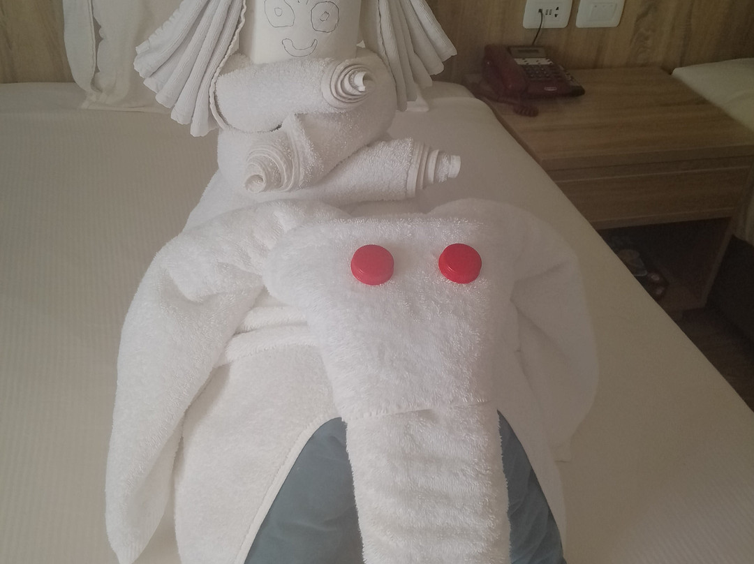 Seven Seas Jolie Bay主图