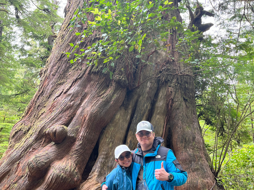 Tofino Sea Kayaking Day Tours景点图片