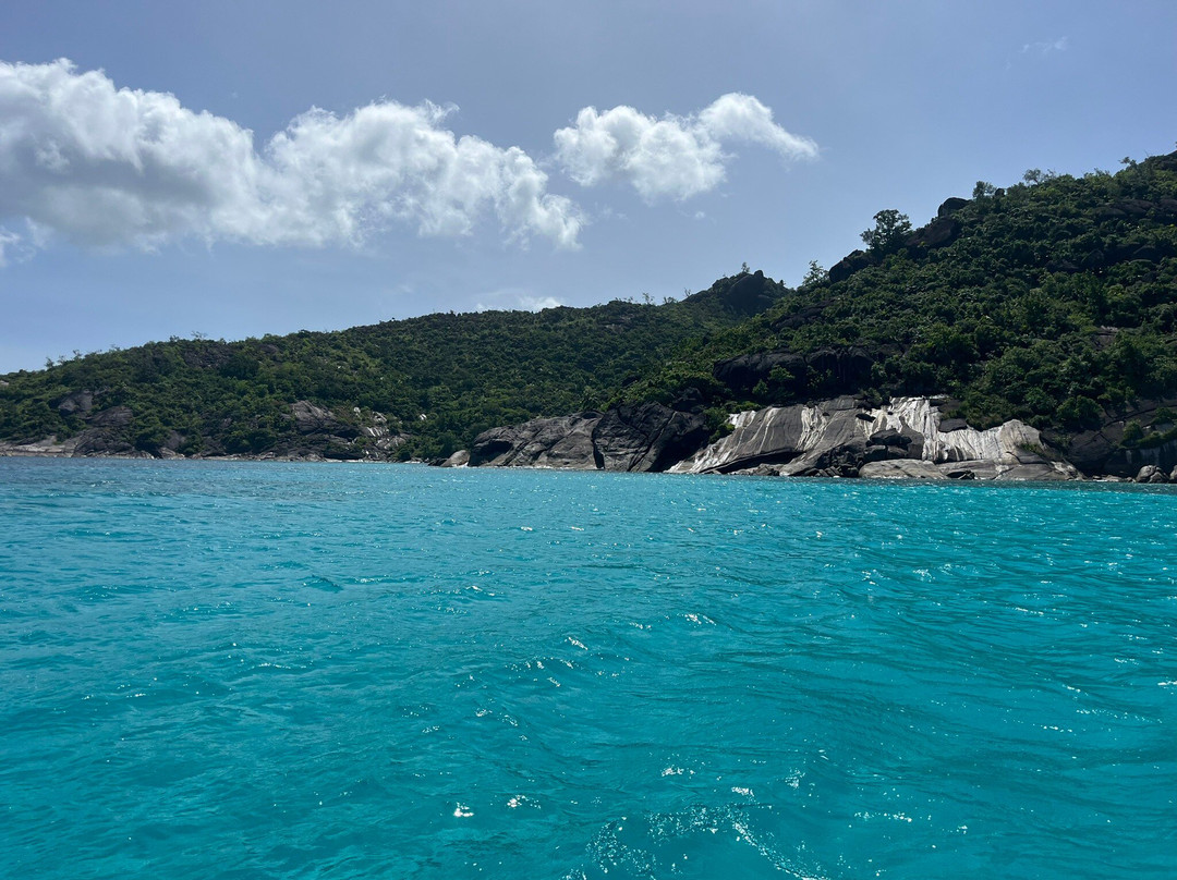 Dive Seychelles Underwater Centre景点图片