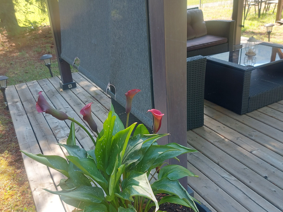 Old Towne Inne Chuckwagon Bar & Grill主图