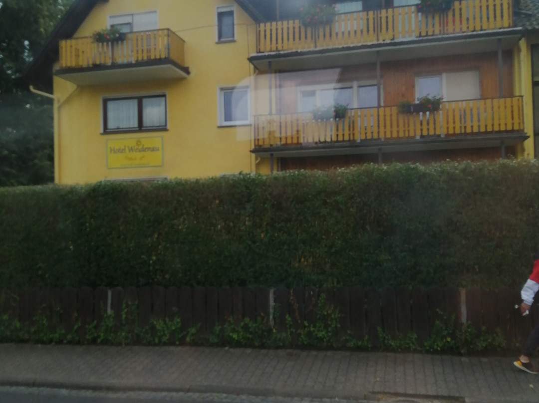 维德纳酒店主图