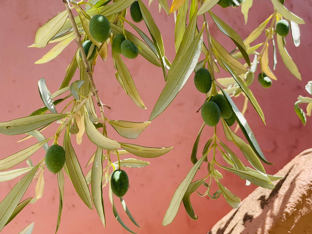 Enagron Cretan Ecotourism Village主图