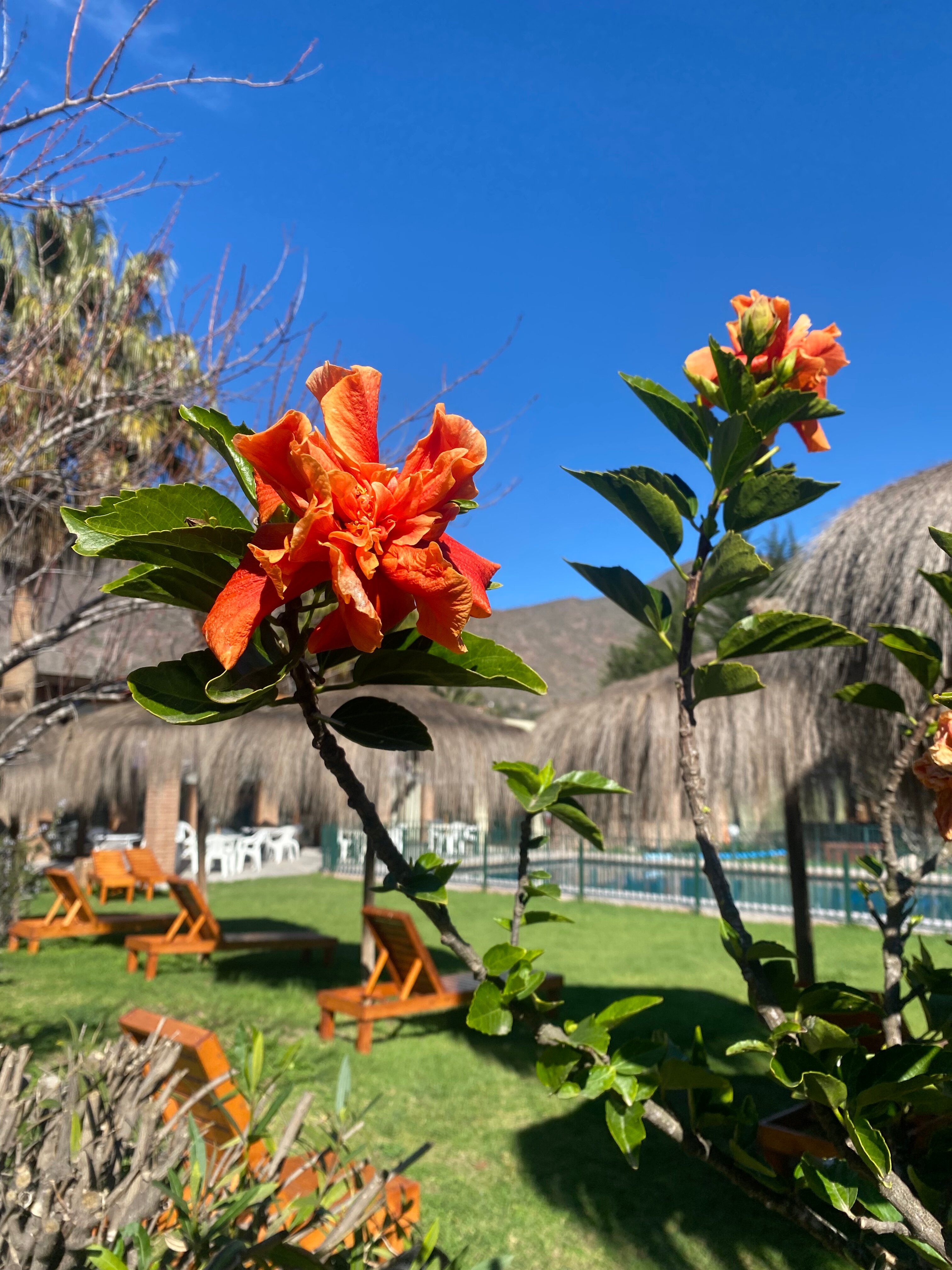 Hotel Vertientes de Elqui-官方