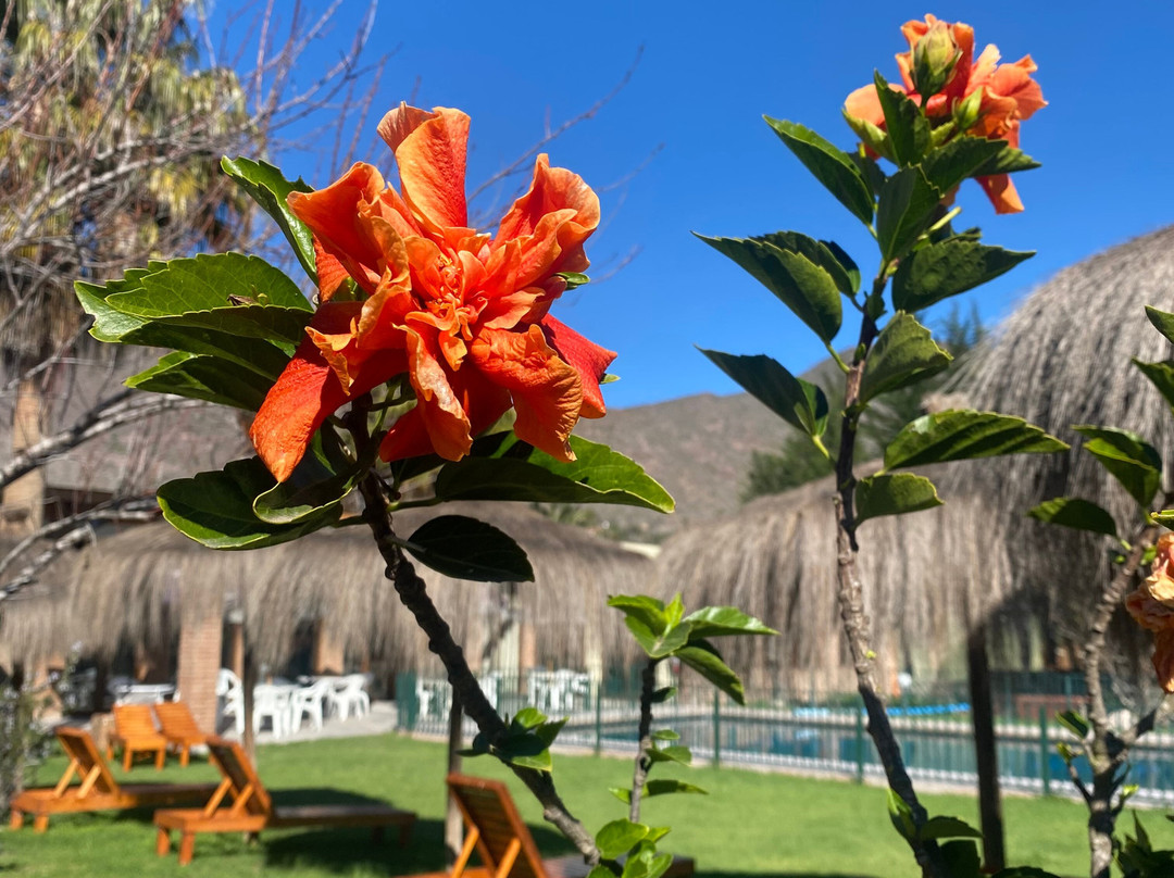 Hotel Vertientes de Elqui主图