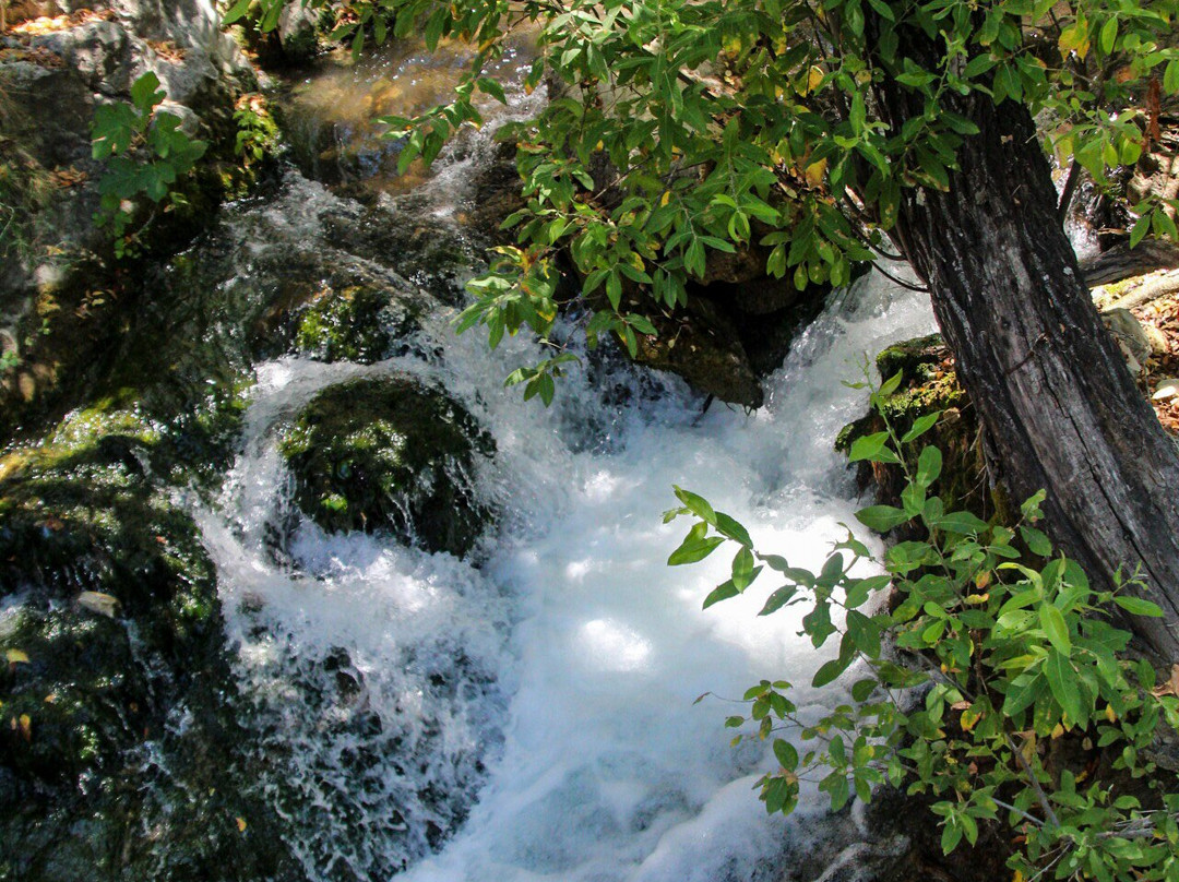 Sendero Rio Majaceite景点图片