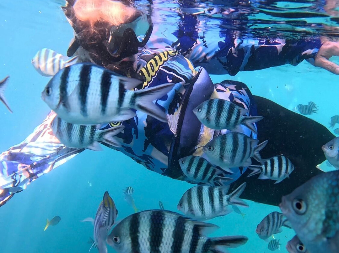 Skeleton Reef景点图片