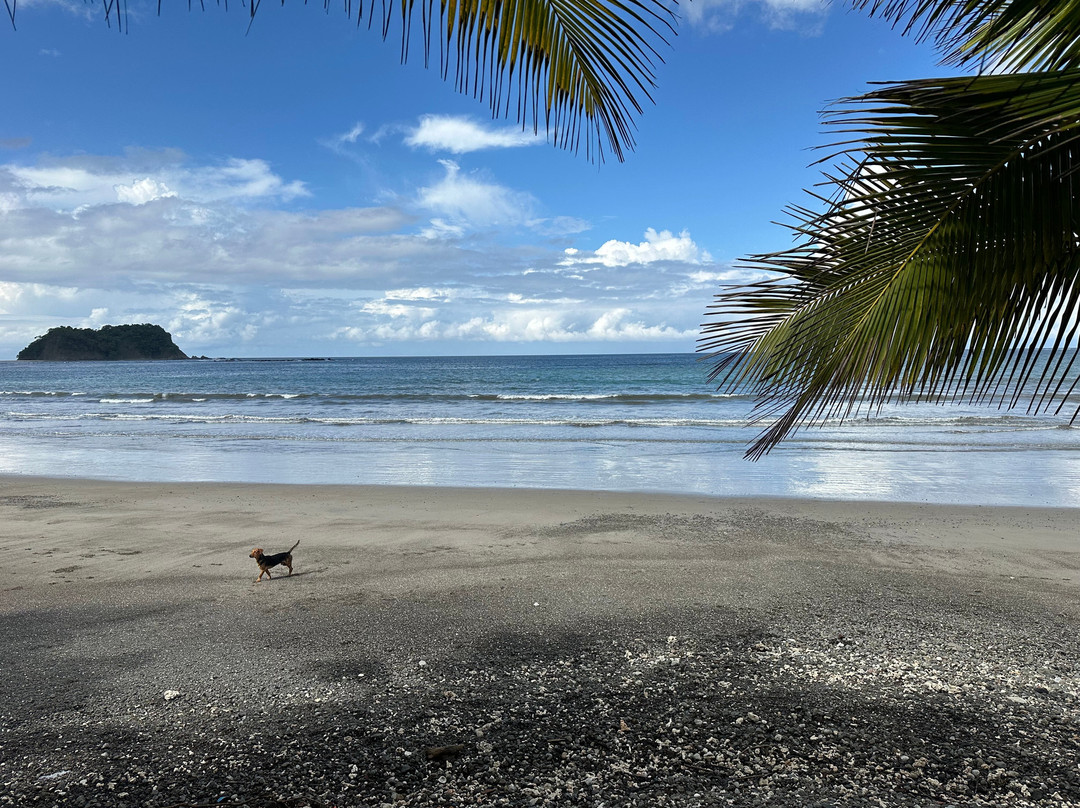 Fenix Hotel - On The Beach主图