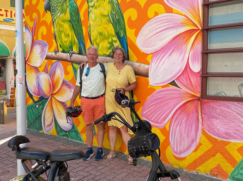 Dundu Tours-威廉斯塔德必去景点