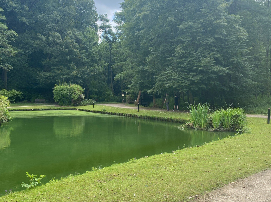 Bois des Rêves景点图片