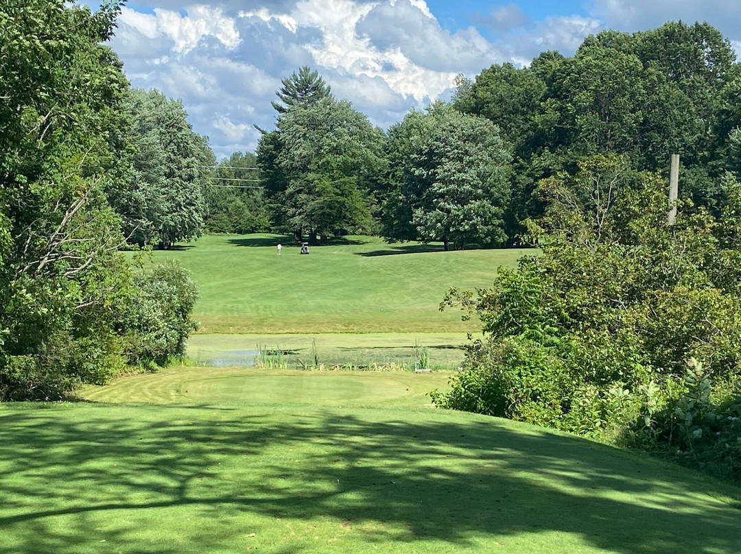 Village Green Golf Club景点图片