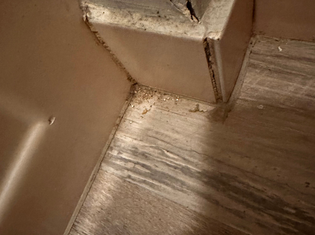 Algoma Beach Motel主图