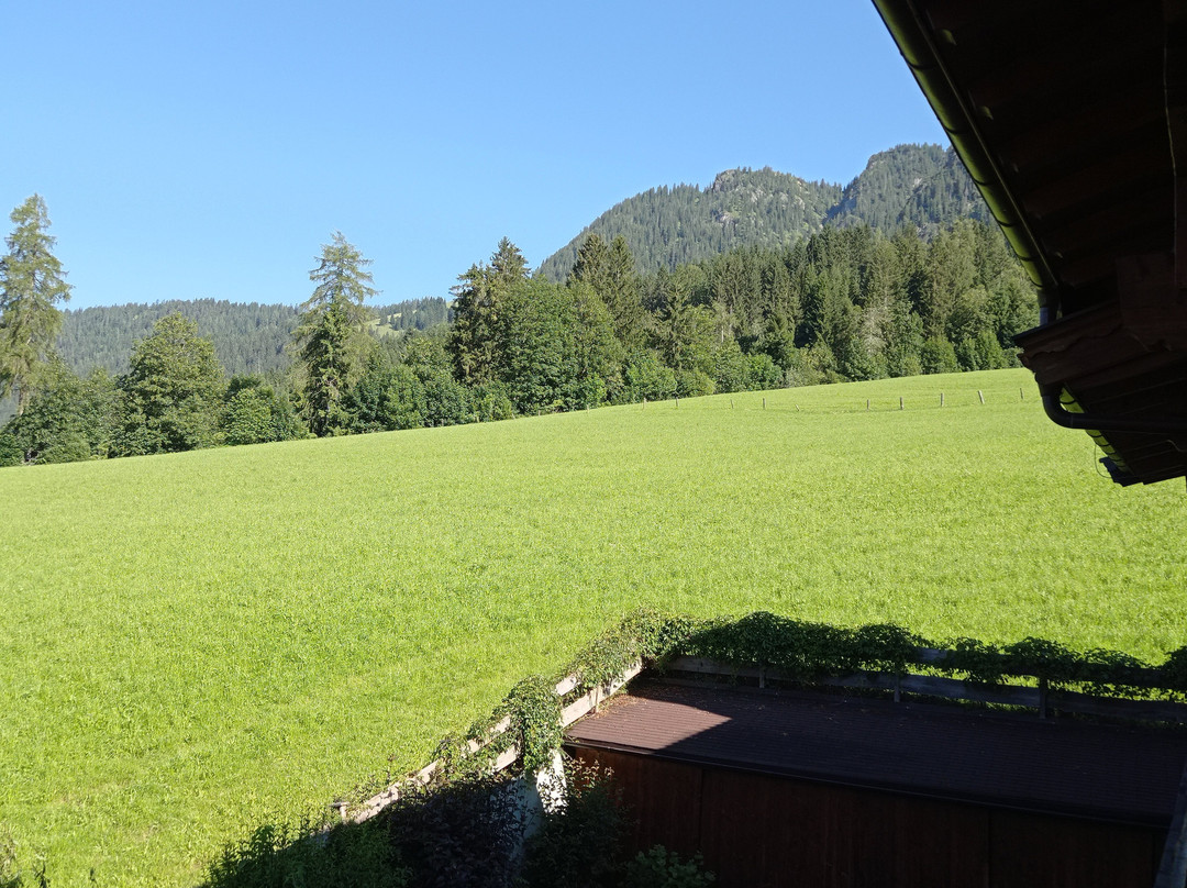 Hotel Alphof Alpbach主图