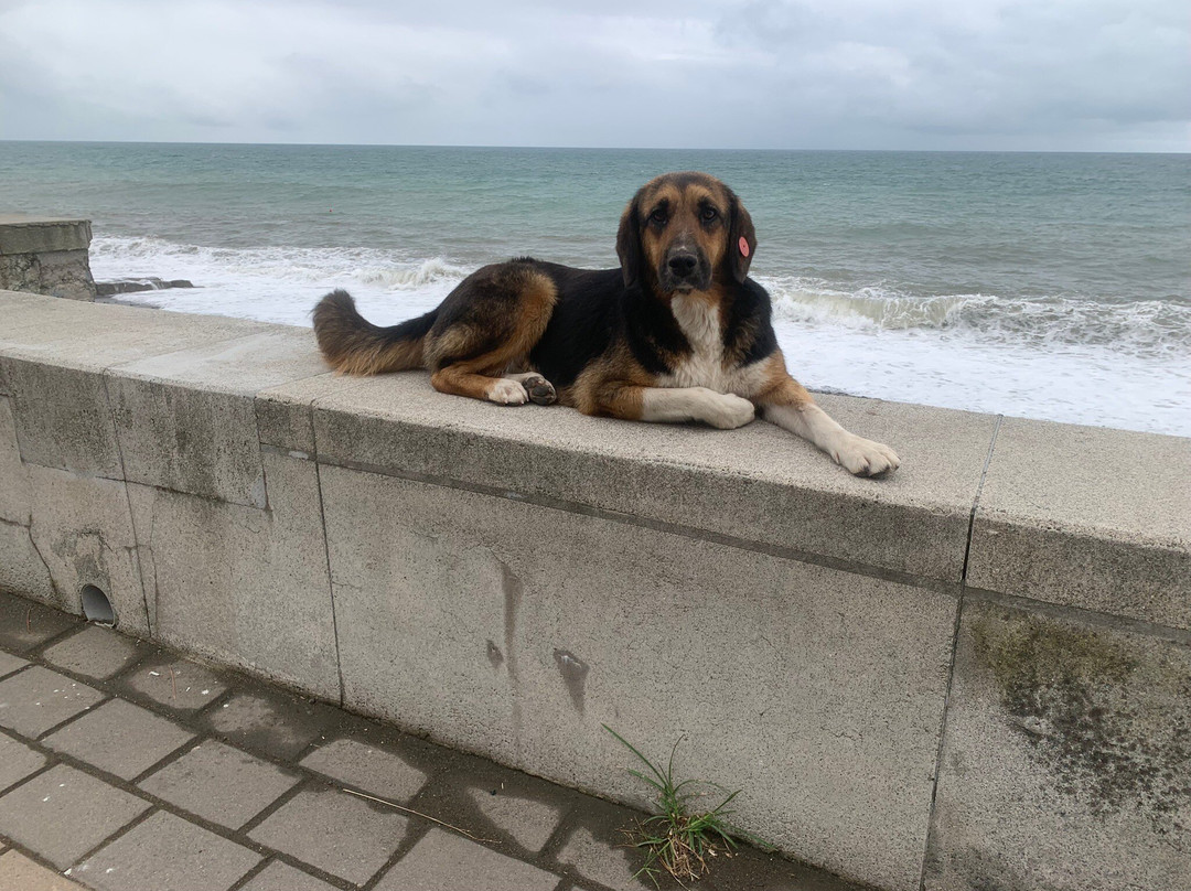 Kobuleti Beach-Kobuleti必去景点