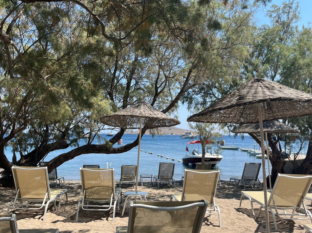 Tamarisk Beach Hotel主图
