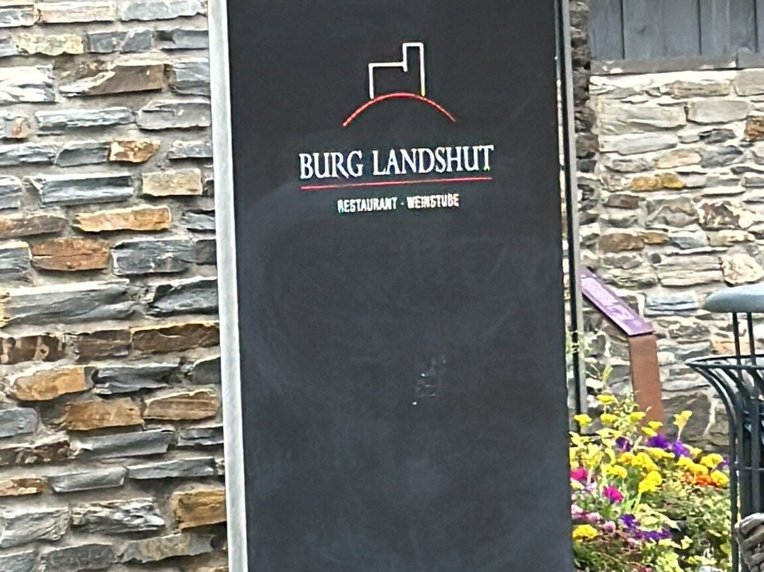Burgruine-Landshut景点图片