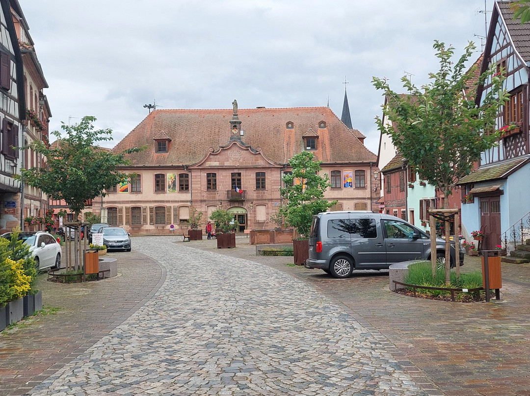 Vieille ville de Bergheim景点图片