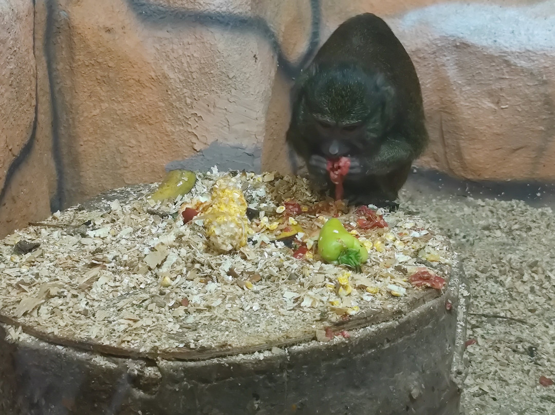 Crocodile Farm-Golubitskaya必去景点