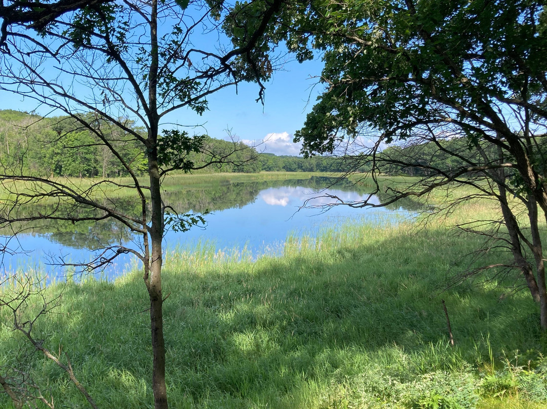 Mille Lacs Kathio State Park景点图片