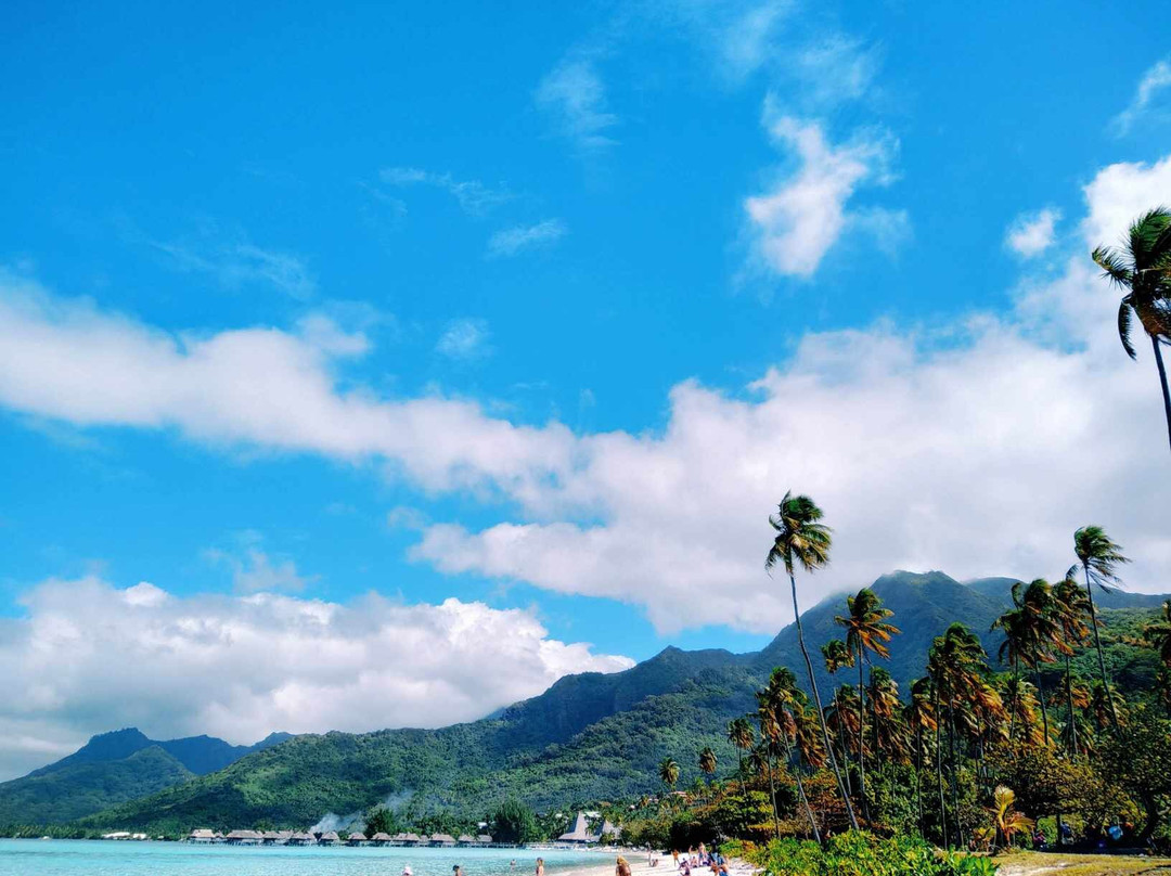 Taxi Moorea 2.0-Paopao必去景点