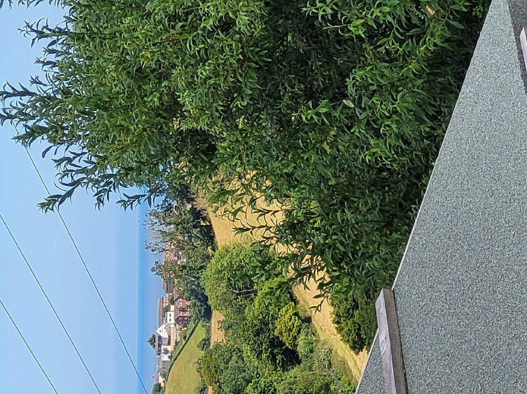 Old Walls Vineyard景点图片