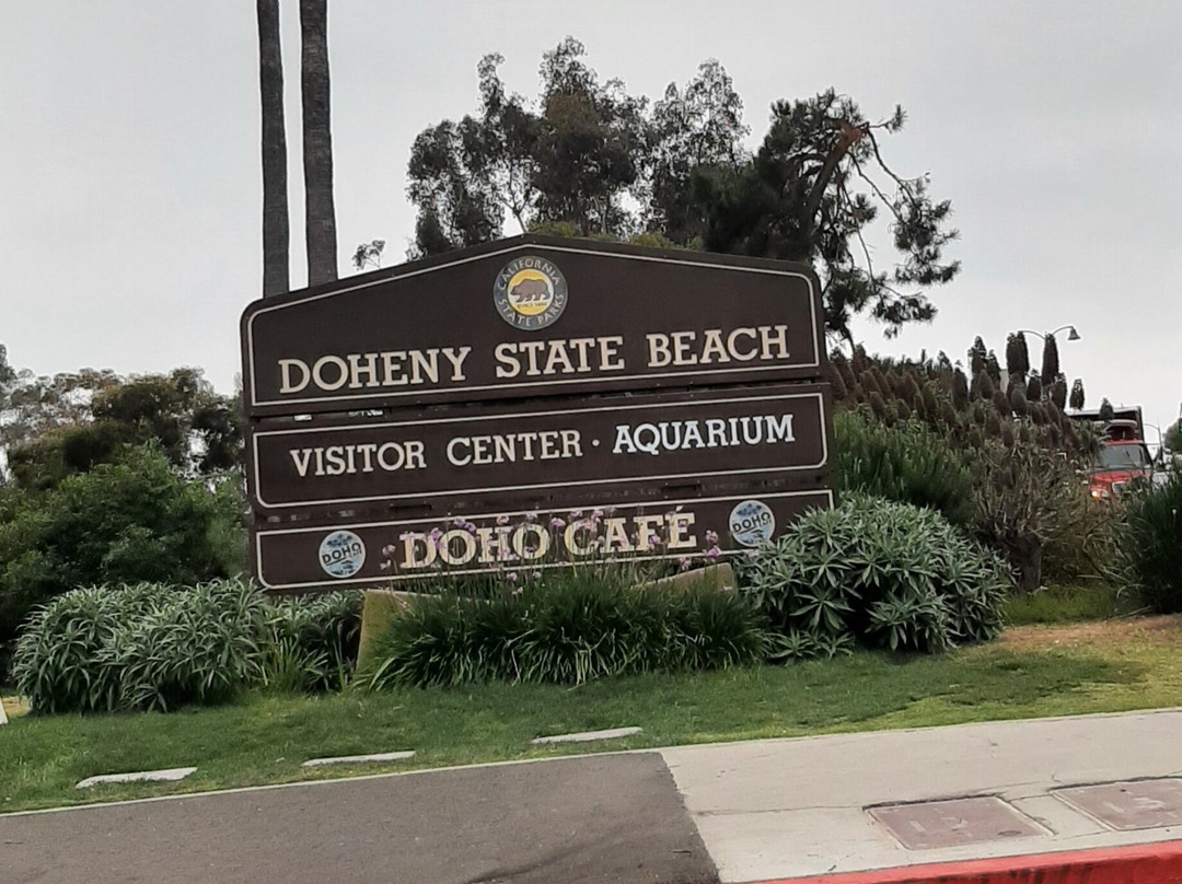 Doheny State Beach-德纳角必去景点