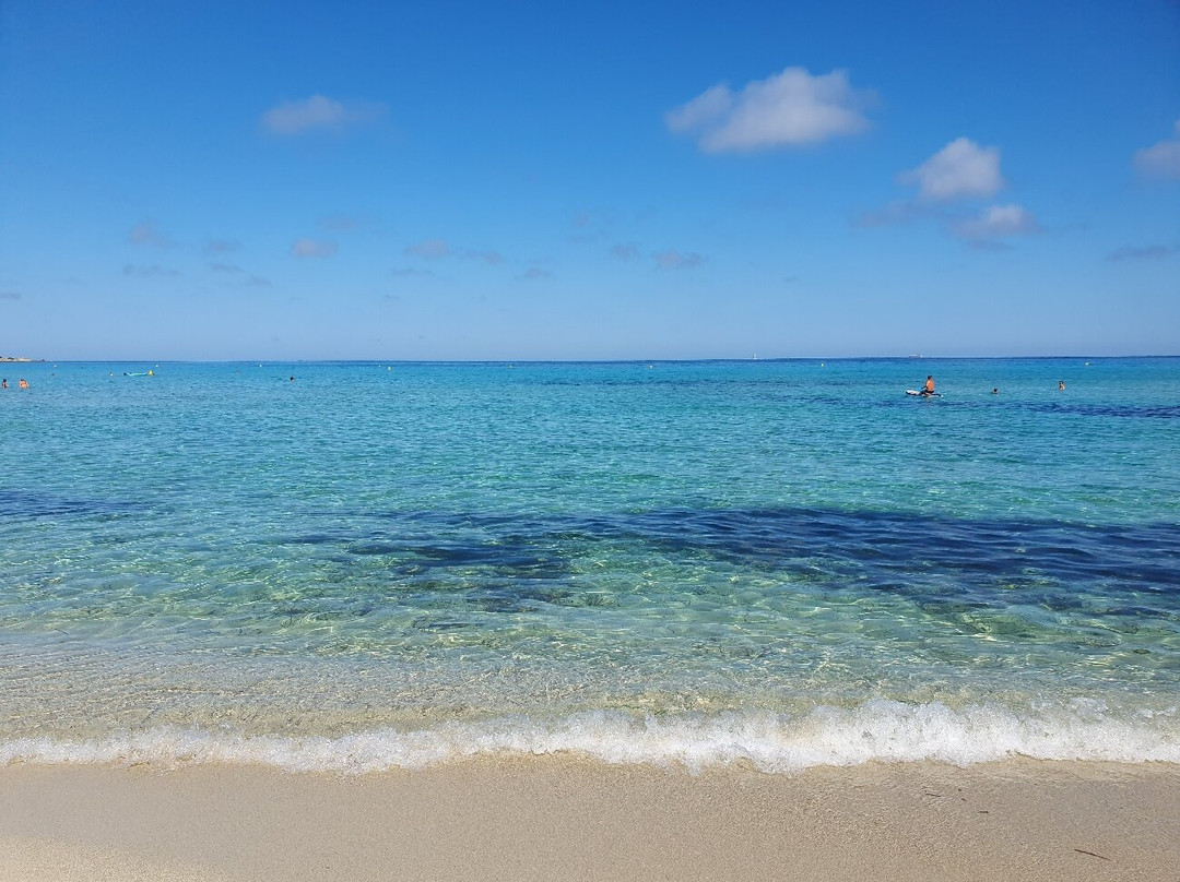 Plage de Bodri-Corbara必去景点