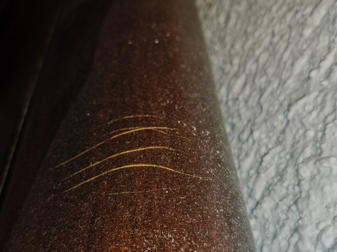 Lassion Golden Bay主图