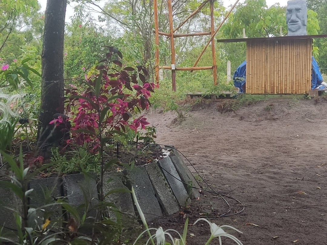 Tortuga Surf Camp-Cam Hai Dong必去景点