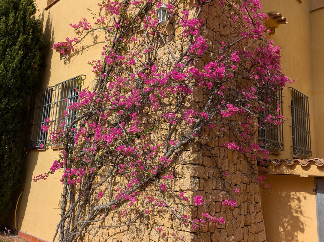 Hotel Villa Lehmi主图