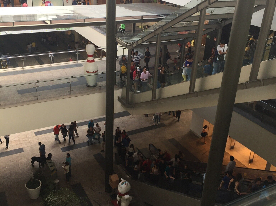 Centro Comercial Altacia景点图片