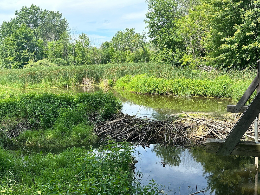 Sandy Beach-Hudson必去景点