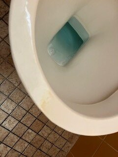 Melaleuca Motel主图