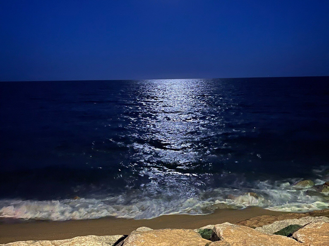 Tiare Beach Bar-Pineda de Mar必去景点