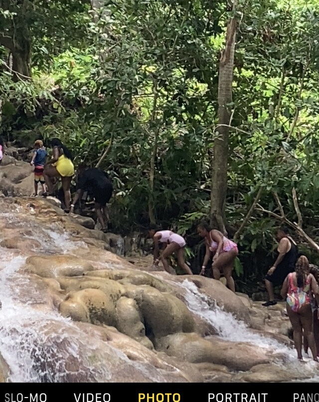 Real Tours Jamaica - Day Tours景点图片
