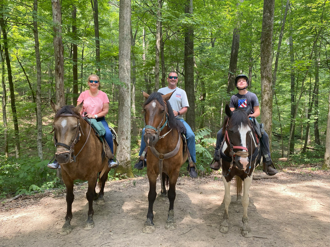 Whispering Woods Riding Stable景点图片
