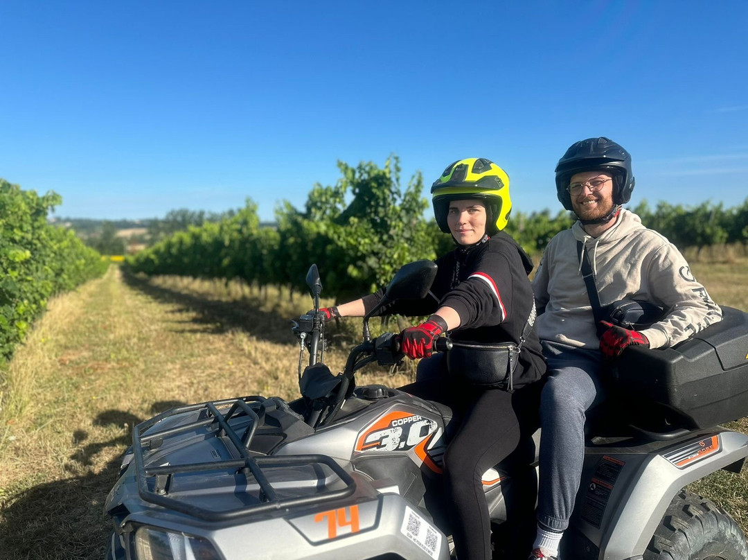 Randos en quad Off-Road Wine Tours景点图片