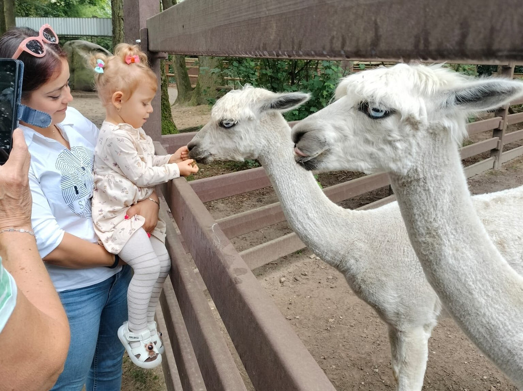 Natur- und Tierpark Brüggen景点图片