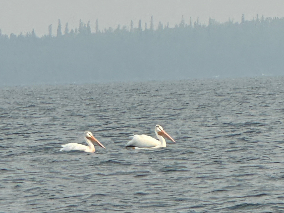 Bakers Narrows Lodge主图