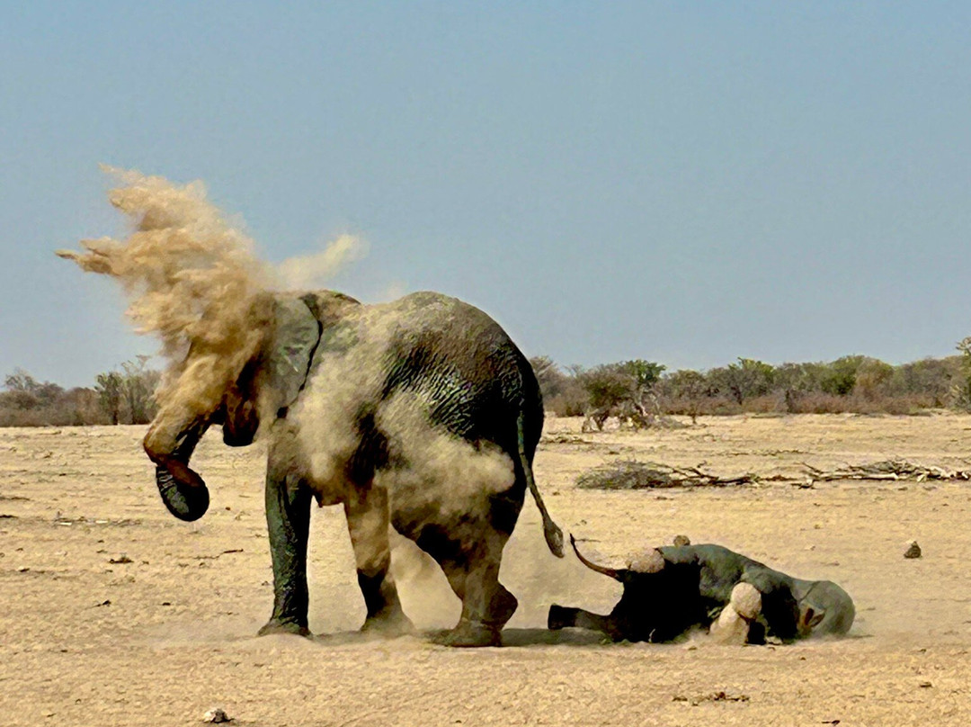 Safarihoek Lodge主图