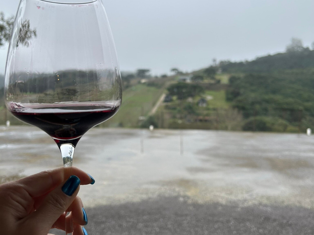 Vinicola Salvati & Sirena景点图片